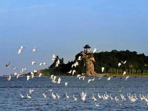 北戴河旅游爆料最新消息,最新爆料揭示热门景点与活动! 第1张 北戴河旅游爆料最新消息,最新爆料揭示热门景点与活动! 第1张