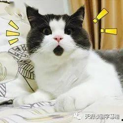 狍子先生爆料视频大全最新,揭秘娱乐圈不为人知的幕后故事 第1张 狍子先生爆料视频大全最新,揭秘娱乐圈不为人知的幕后故事 第1张